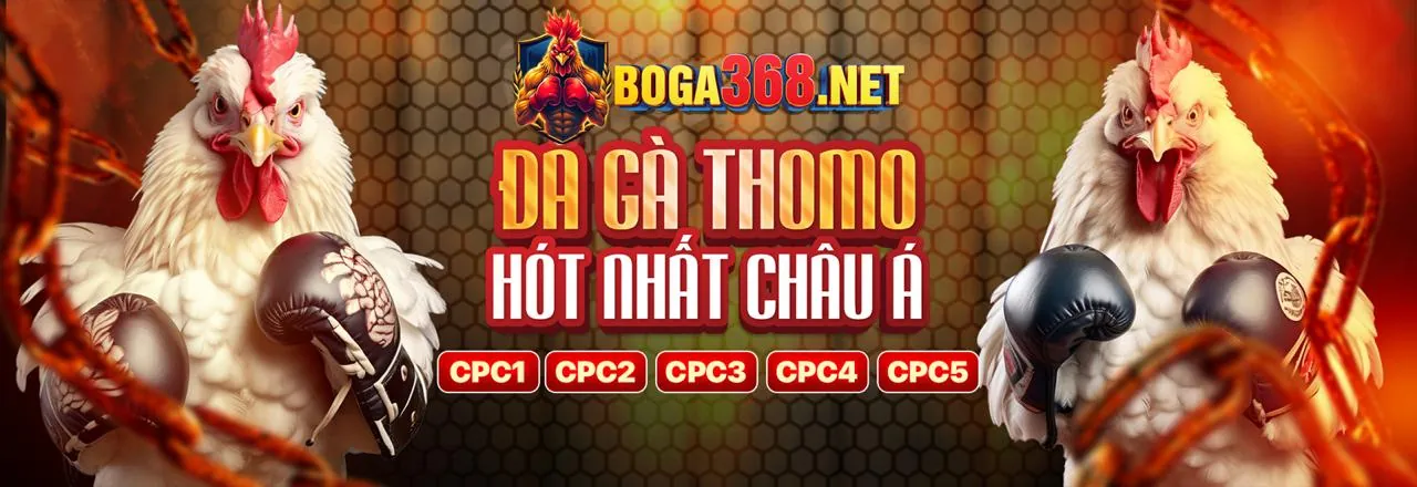 Các loại trò chơi đa dạng tại 1win betting