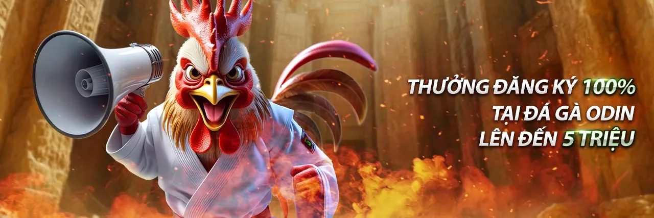 Người dùng tìm kiếm câu trả lời trên nền tảng 1win betting